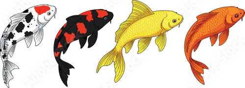 Collection of colorful koi fish, ornamental carp varieties, aquatic animals, Japanese pond fish, detailed wildlife vector illustration set