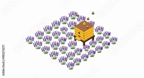 Isometric Beehive in a Blooming Lavender Field with Honeybees Illustration