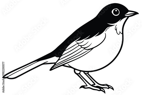 american robin silhouette line art vector illustration with a white background