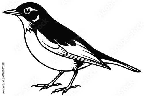 american robin silhouette line art vector illustration with a white background