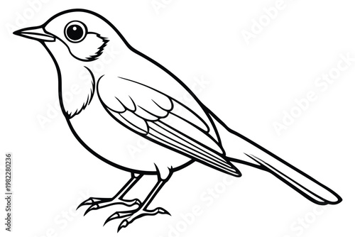 american robin silhouette line art vector illustration with a white background