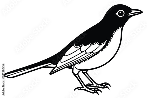 american robin silhouette line art vector illustration with a white background