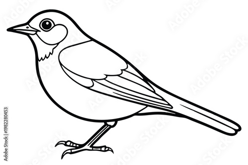 american robin silhouette line art vector illustration with a white background