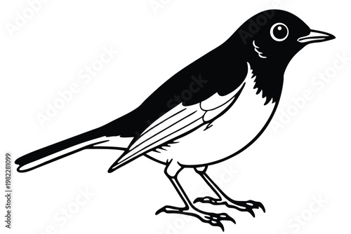 american robin silhouette line art vector illustration with a white background