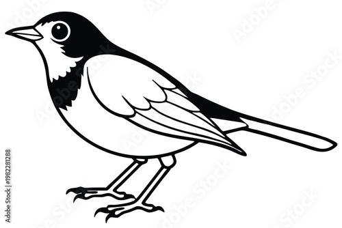 american robin silhouette line art vector illustration with a white background