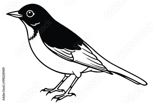 american robin silhouette line art vector illustration with a white background