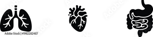 Human internal organs illustration lungs heart and digestive system depicted in black