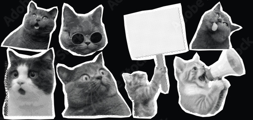 Funny Cat Sticker Set, Grumpy and Silly Black and White Cats Collection, Isolated Feline Expressions with Megaphone and Sign