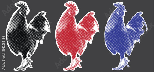 Rooster Vector Set with Grunge Texture, Red Blue and Black Cockerel Illustration Collection, Minimalist Farm Animal Stickers