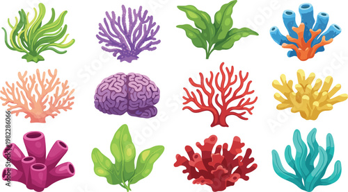 Colorful coral reef elements set, underwater marine plants and corals collection, ocean wildlife decoration, vector illustration