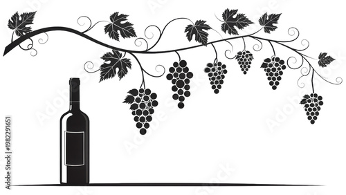 Wine bottle with grape vine and bunches, black silhouette on gray checkered background, food.