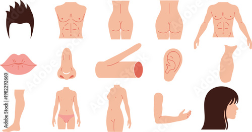 Human Body Parts Icons Set with Head, Torso, Arms, Legs, and Facial Features for Anatomy and Healthcare Themes