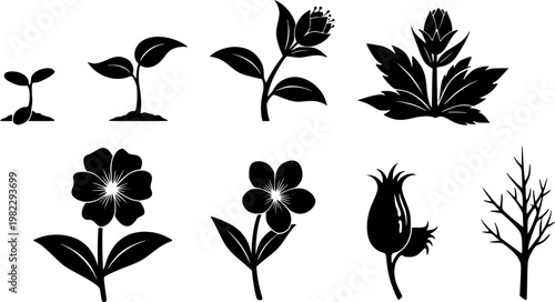 camera, tripod, silhouette, black, lens, equipment, photo, videography, digital, professional, studio, gear, accessory, racked, leg, spiral, angular, shape, icon, symbol, collection, set, group, 8, ca