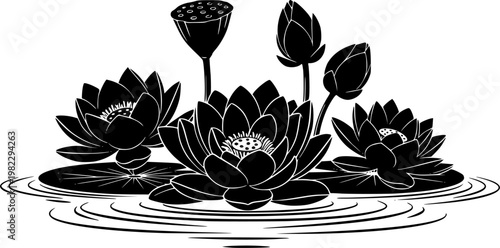 Elegant black silhouette lotus flowers, water lilies, and closed buds floating on a serene water surface with ripple, isolated on white background
