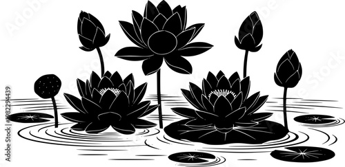 Elegant black silhouette lotus flowers, water lilies, and closed buds floating on a serene water surface with ripple, isolated on white background
