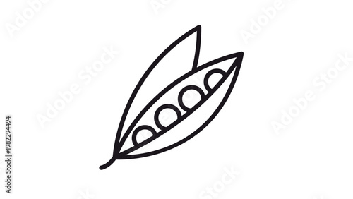 Black line vector icon of an open pea pod showing four round peas inside, minimalist vegetable illustration isolated on white background, perfect for food, organic farming, and healthy diet designs.