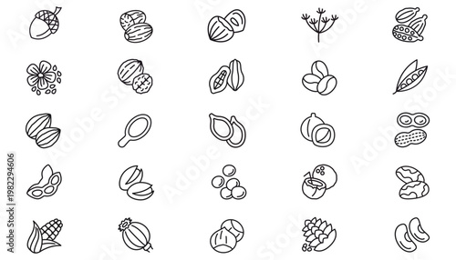 25 Vector Icon Set Bundle: Black Minimalist Line Art Symbols of Spices, Nuts, Seeds, and Plants. Includes Cardamom, Nutmeg, Walnut, Coffee, Cocoa, Coconut, Corn, Peanut, Hazelnut, and Botanical Art.