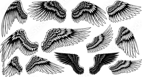 Comprehensive collection of majestic black wings in various dynamic poses, featuring detailed feather outlines,, isolated on white background
