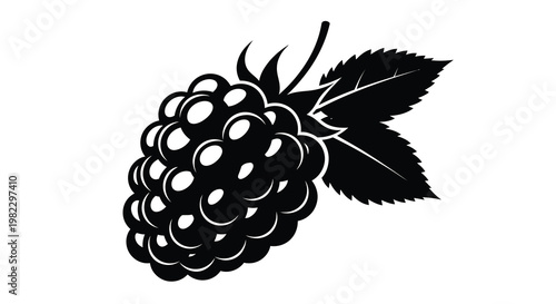 A striking black and white illustration depicts a cluster of ripe raspberries with a leaf