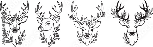 Wildlife Deer Portrait Illustration Pack