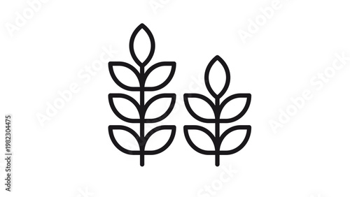 Minimalist black line art vector icon illustration of two wheat stalks or grain ears, representing agriculture, organic farming, harvest, and cereal crops, isolated on a white background.