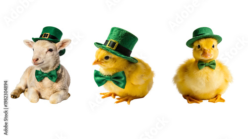 Cute farm animals lamb chick and duckling wearing green leprechaun hats and bow ties for Saint Patrick Day on a transparent background