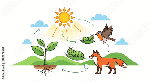 Fox eating food chain ecosystem.