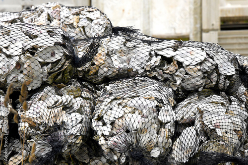 Canvastavla Big Pile of Bagged Shucked Oyster Shells
