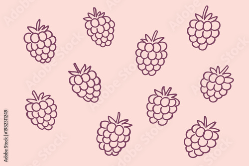 Raspberry doodle vector illustration with hand drawn berry pattern and simple playful fruit sketch icons