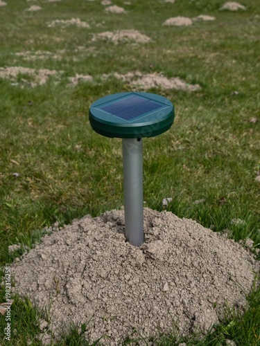 European Mole (Talpa europaea) – molehill with solar-powered repellent device in grassy habitat, common species in the Czech Republic