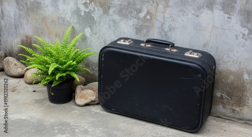 Vintage Black Suitcase and Lush Fern Against a Weathered Concrete Wall