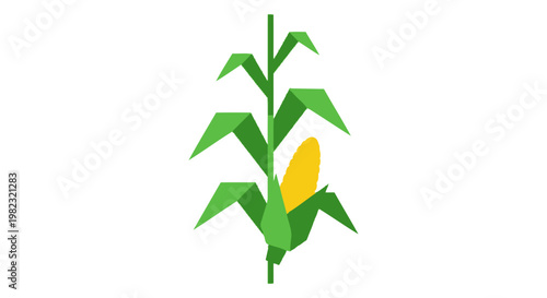 A flat vector illustration of a single corn stalk with a yellow ear of corn.