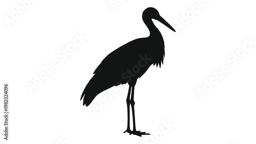 A striking silhouette of a stork standing with its head slightly bent