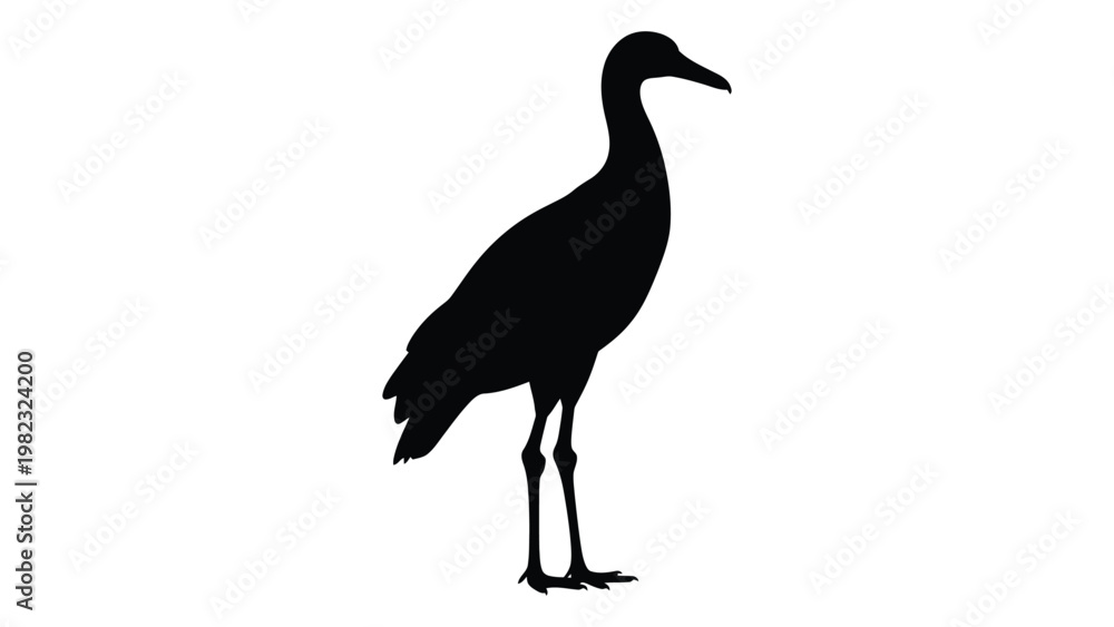 Fototapeta premium Silhouette of a long legged bird likely a crane or heron standing in profile