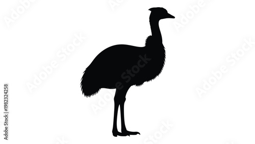 Silhouette of an emu against a plain white background showcasing its distinctive form