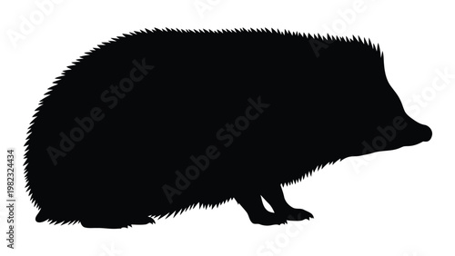Silhouette of a hedgehog depicted in a stark black and white outline