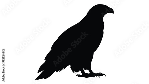 A striking silhouette of a majestic eagle with outstretched wings and sharp talons