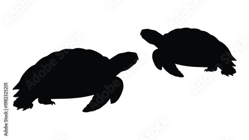 Two black silhouettes of turtles are depicted against a plain white background