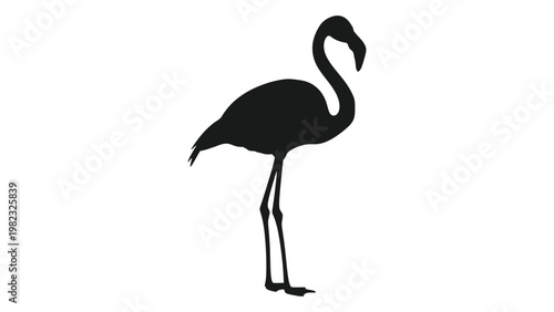 A minimalist silhouette of a pink flamingo standing gracefully on slender legs