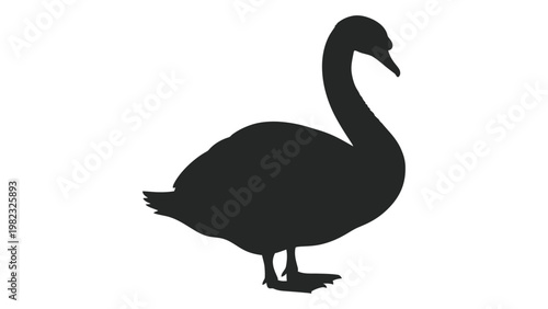A striking silhouette of a swan showcasing its elegant curved neck and body