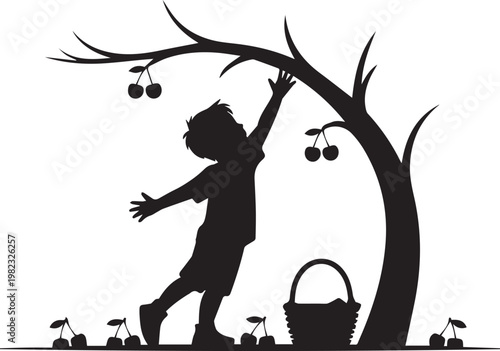 Child reaching for cherries on tree branch with basket below, boy picking fruit in orchard during summer harvest