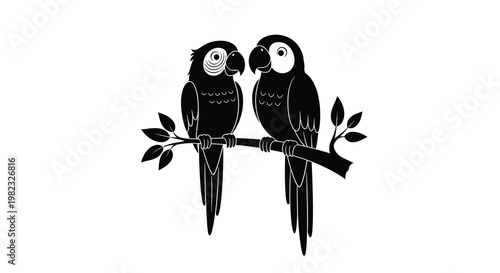Two black parrots perch closely together on a slender dark branch