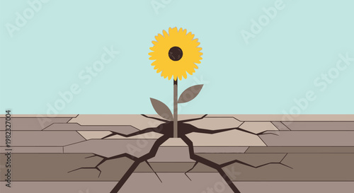 A single yellow flower growing through a crack in the dry ground.