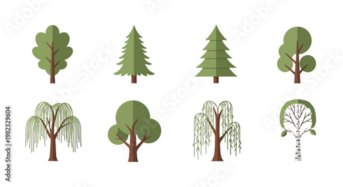 Set of vector trees illustrations on white background for design elements