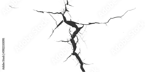 A high contrast black and white image showing a complex network of deep cracks on a white surface