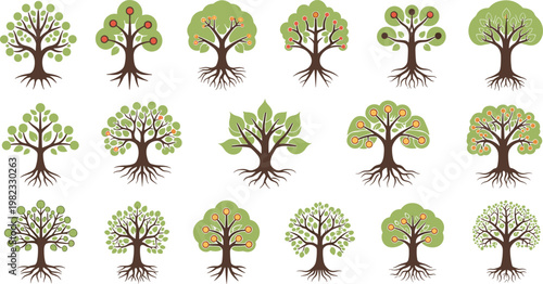 Vector Set of Tree Illustrations with Various Stages of Growth and Fruit Bearing for Nature and Environmental Themes