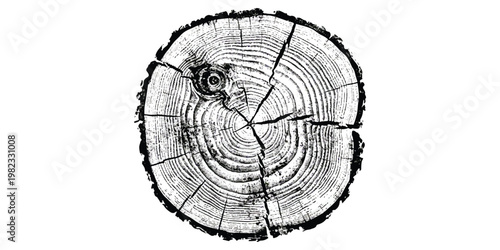 A detailed illustration of a wooden log cross section showing circular growth rings and cracks