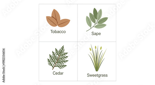 Set of four sacred indigenous medicinal plants including tobacco sage cedar and sweetgrass.