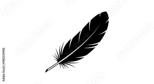 Black silhouette of a single bird feather isolated on white background.