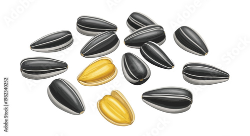 Group of raw organic sunflower seeds designed as a clean vector graphic for your creative project